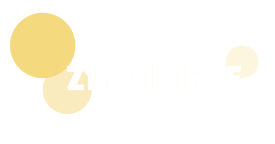 ZINVISIBLE